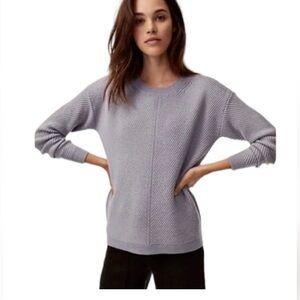 Wilfred Free Isabelli Soft Baby Blue Merino Crew Neck Sweater